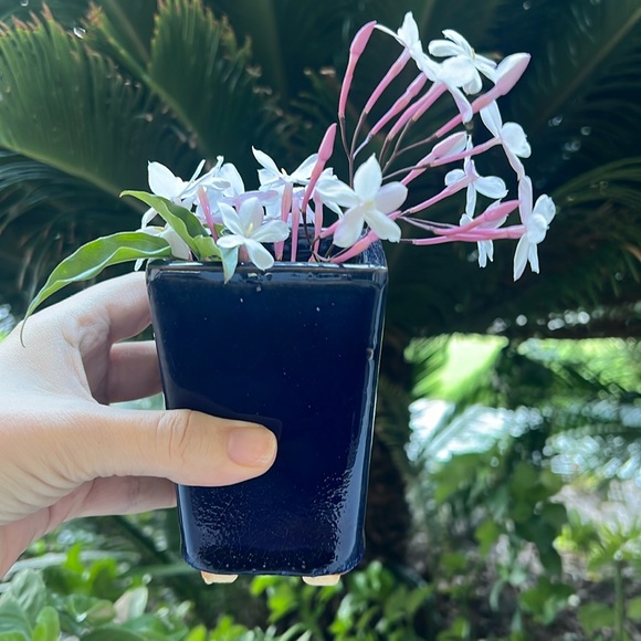 Vintage Glazed Ceramic Pot with Saucer - Picture 8 of 16